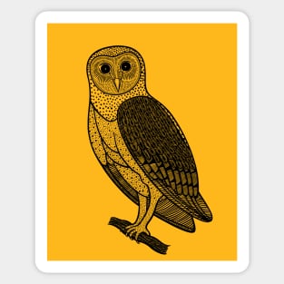 Barn Owl - detailed bird ink art Sticker